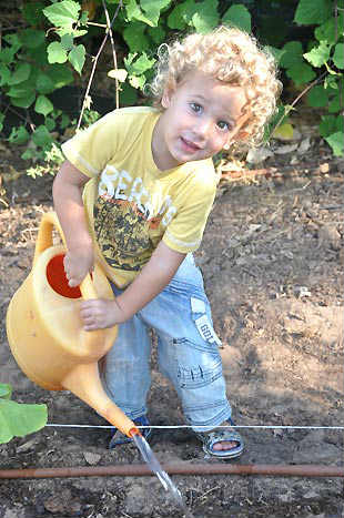 גינת האוכל, פעיליות סוף הקיץ לילדים, אטרקציות לילדים בגינת האוכל